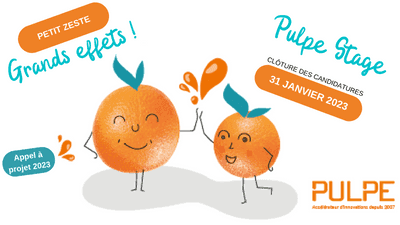 Pulpe Stage 2023 : à vos candidatures !